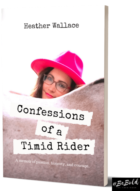 Confessions of a Timid Rider